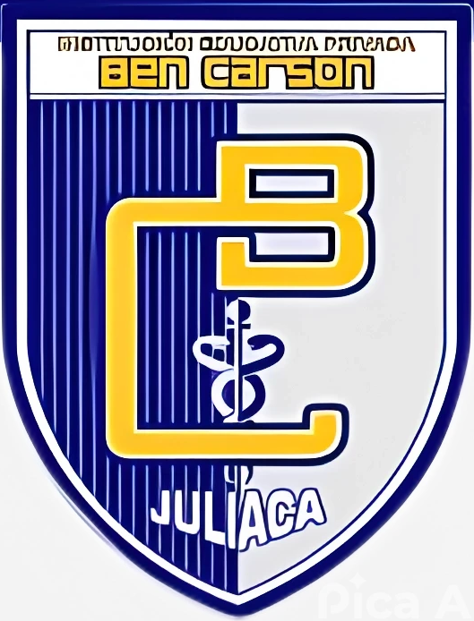 www.colegionikolateslahuacho.edu.pe favicon
